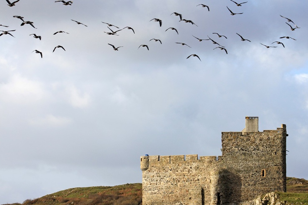 The Ardnamurchan Campsite West Coast of Scotland