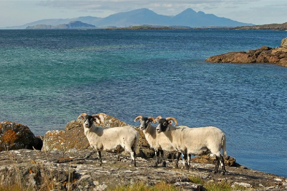 The Ardnamurchan Campsite West Coast of Scotland
